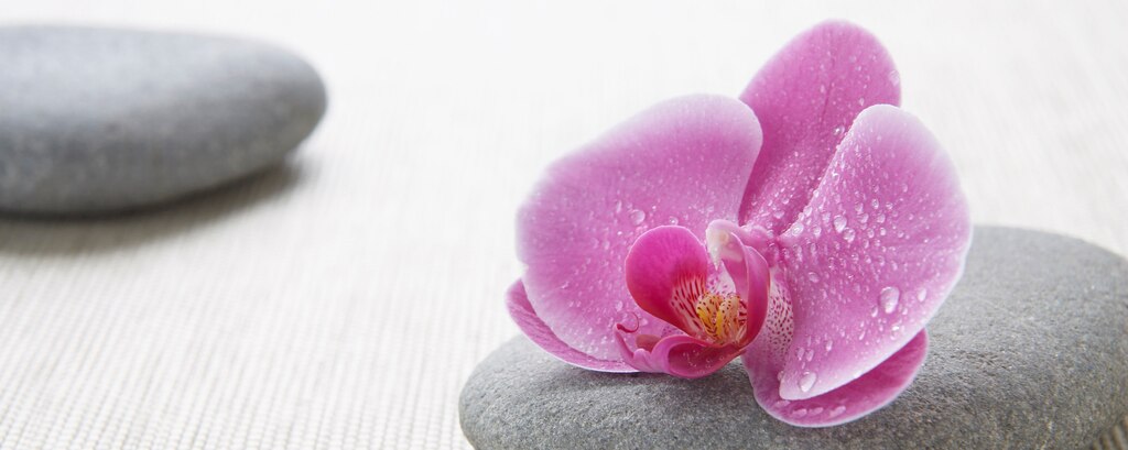 JW Marriott 商务酒店提供豪华水疗中心，带来非凡的水疗酒店体验
